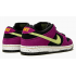 Nike SB Dunk Low Pro ACG Terra Red Plum