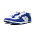 Nike Dunk Low Disrupt 2 White University Blue