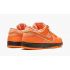 SB Dunk Low Concepts - Orange Lobster