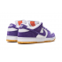 Nike Dunk SB Low Pro Iso Court Purple