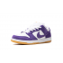 Nike Dunk SB Low Pro Iso Court Purple