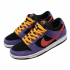 Nike SB Dunk Low Pro ACG Terra